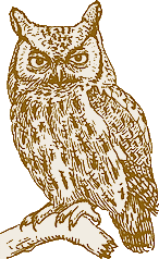 post owl